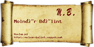 Molnár Bálint névjegykártya