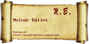 Molnár Bálint névjegykártya