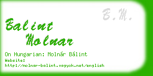 balint molnar business card