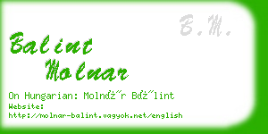 balint molnar business card